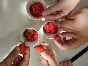 fraises et groseilles